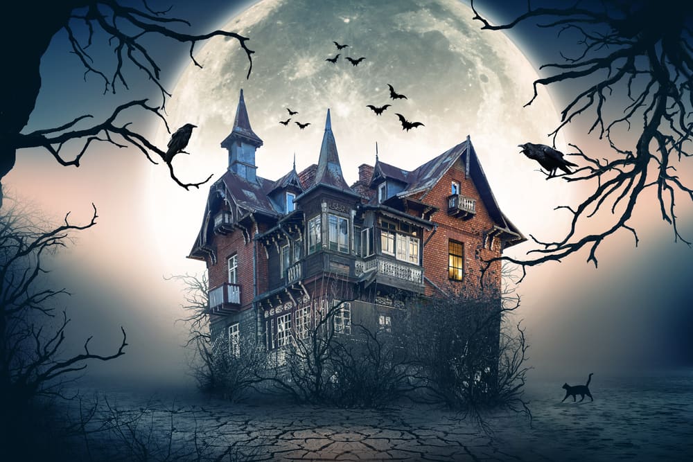 7 Halloween Risks and Your Insurance Must-Haves
