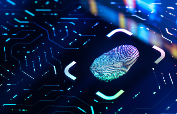 What Should I Look For In Cyber Ransom Insurance