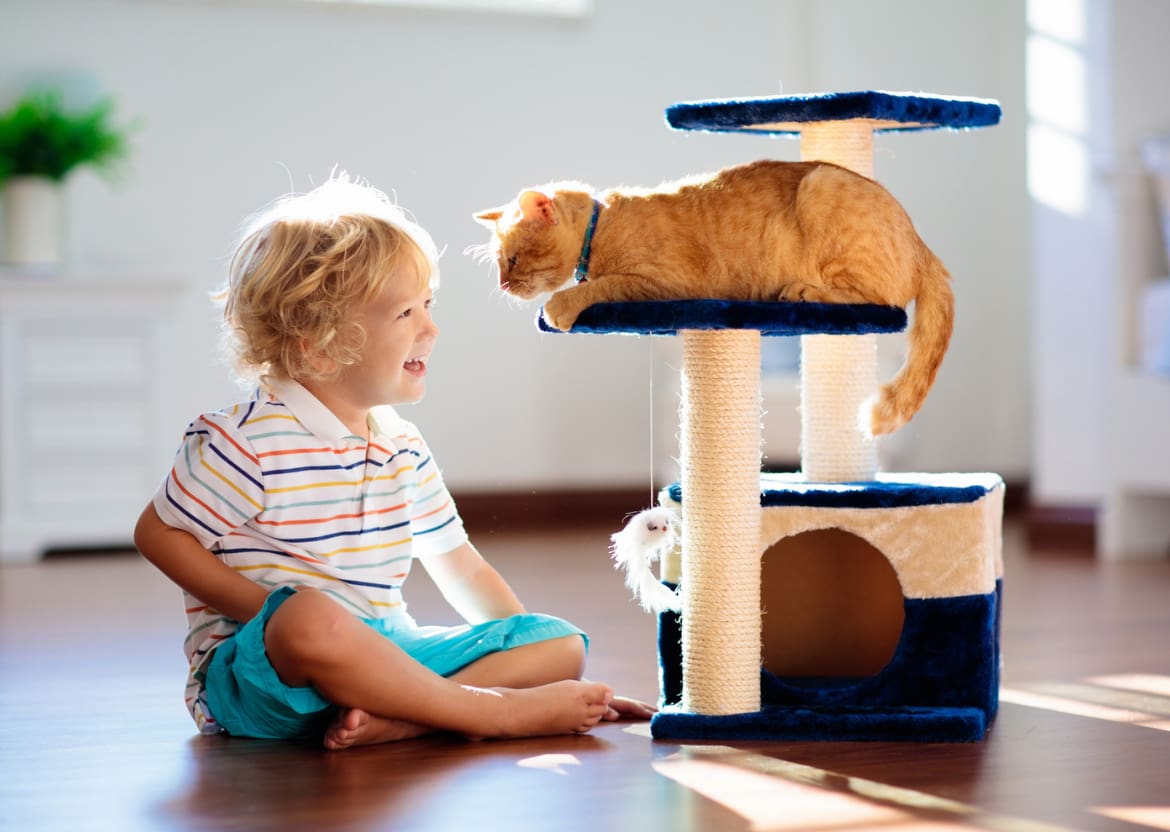 Pet Insurance Pet Insurance